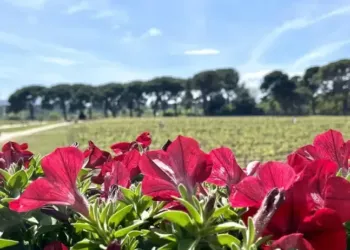 Jusqu’à 23° pour ton week-end !