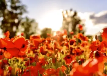 La Foire de Printemps débarque à Montpellier