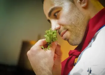 Montpellier des chefs réfugiés s’installent derrière les fourneaux