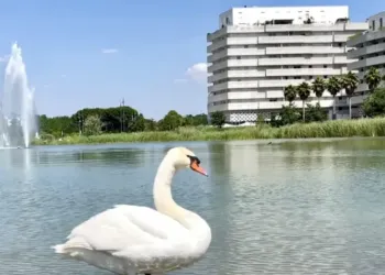 Montpellier : encore du 34° pour ton début de semaine