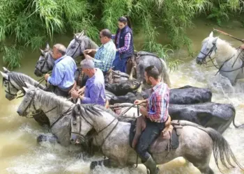 Baillargues est en Fête