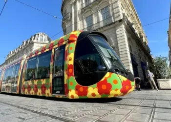 Montpellier : TAM forme et recrute 150 conducteurs et mainteneurs