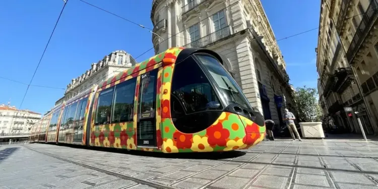 Montpellier : TAM forme et recrute 150 conducteurs et mainteneurs