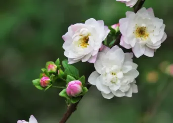 Top 6 Des Parcs Et Jardins De La Metropole