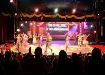 L’éco cirque Bouglione : le cirque 2.0 unique à Montpellier