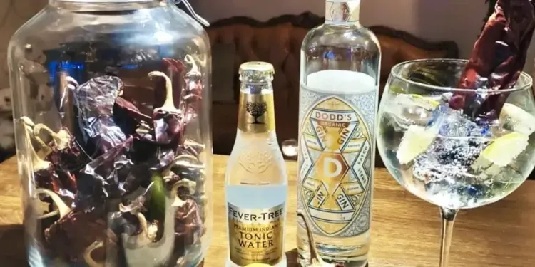 Juniper, le bar qui jongle avec le Gin