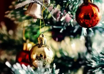 Le Domaine de Verchant organise une collecte solidaire pour les fêtes
