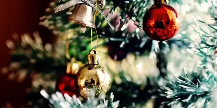 Le Domaine de Verchant organise une collecte solidaire pour les fêtes