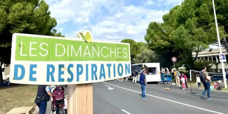 Les Dimanches de respiration de retour Boulevard de Strasbourg
