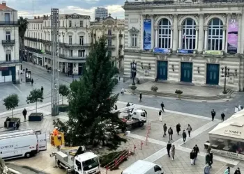 Montpellier : le sapin est en place !