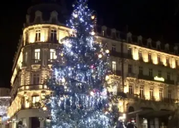 Montpellier : un sapin géant sur la Comédie