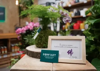 Une micro pépinière gourmande au centre-ville