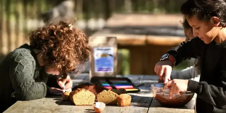 Une Montpelliéraine lance une gamme de gâteaux sans gluten et sans lactose