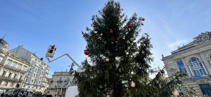 Montpellier : séance relooking pour le sapin de Noël !