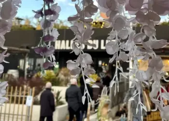 Les Halles du Lez fêtent leurs 2 ans !