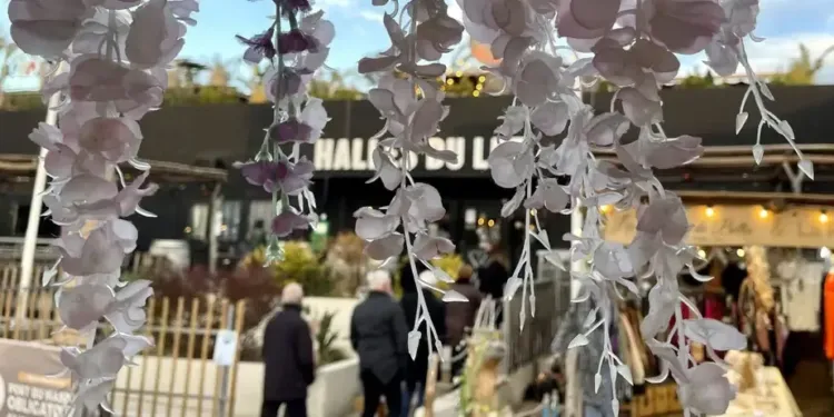 Les Halles du Lez fêtent leurs 2 ans !