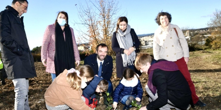 Montpellier : 3000 arbres plantés quartier Malbosc