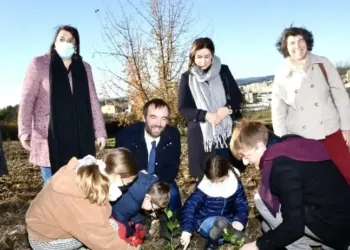 Montpellier : 3000 arbres plantés quartier Malbosc