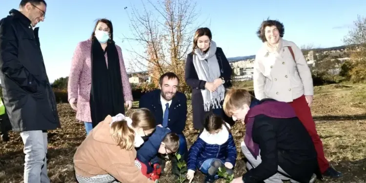 Montpellier : 3000 arbres plantés quartier Malbosc
