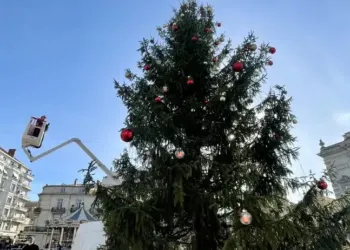 Montpellier : séance relooking pour le sapin de Noël !