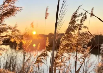 Grand soleil jusqu’à mercredi !