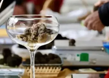 La traditionnelle fête de la truffe est de retour