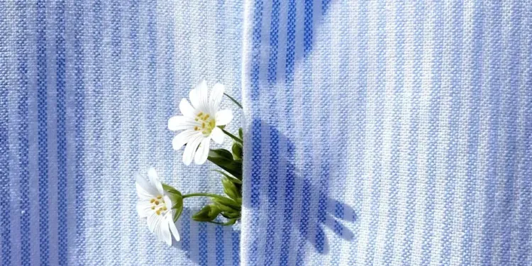 Le Trophée Gustave s’invite à la foire de Printemps