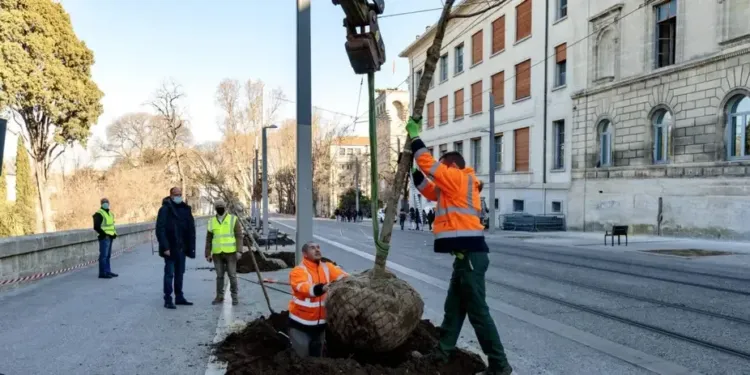 Montpellier : le boulevard Henri IV respire