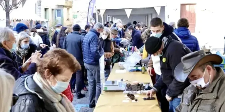 Saint-Guilhem aussi fête la truffe