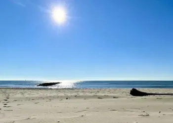 Top 10 : l’Espiguette, plage la plus recherchée sur internet