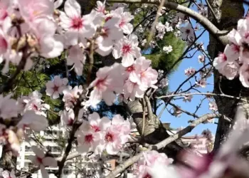 Grand soleil et 16° pour ton week-end