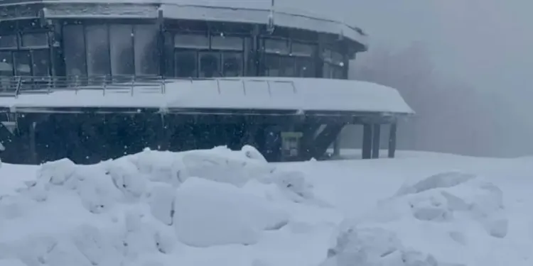 1m50 de neige à 1h30 de Montpellier !