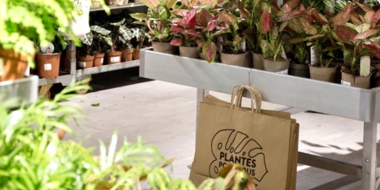 Montpellier : grande vente de plantes à prix cassés