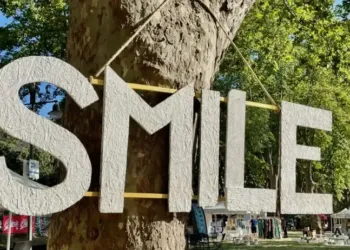 Le Wild Summer Festival redébarque à Castelnau !