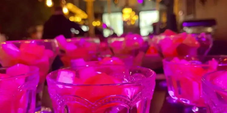 Montpellier : le brunch du dimanche à 28€ aux Mômes