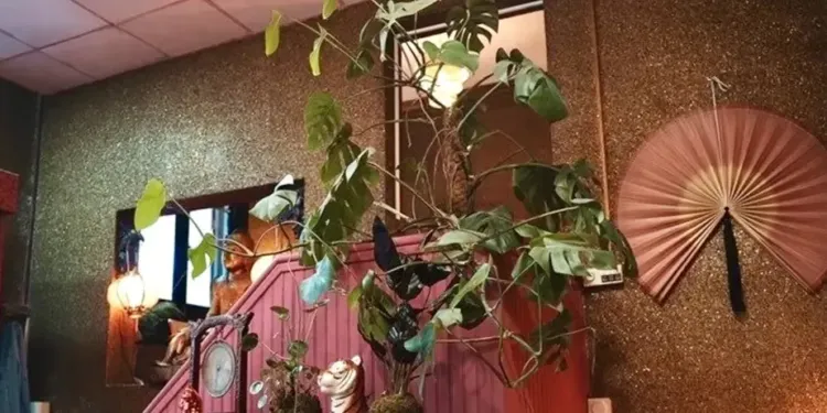 Nouveauté : un "Asian brunch" au Bol d'Or !