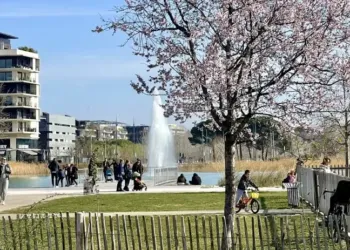 Soleil et 19° pour ton vendredi !