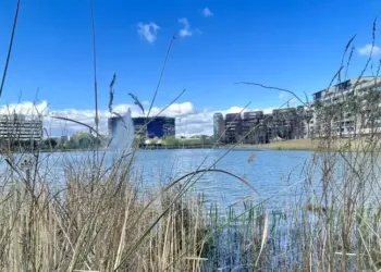 Jusqu’à 19° pour ta semaine !