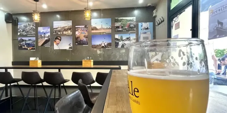 Montpellier : une expo retrace les 25 ans du Fise aux BockAle