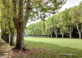 Un nouveau parc de 2 ha inauguré à la rentrée