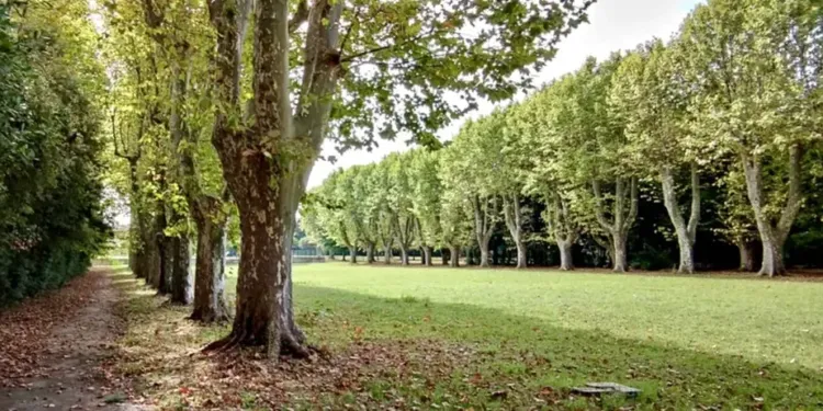 Un nouveau parc de 2 ha inauguré à la rentrée