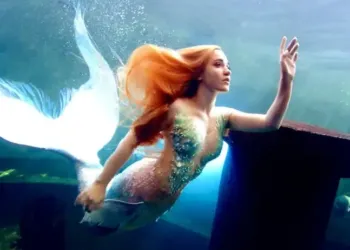 Une sirène s’invite à Planet Ocean pendant les vacances