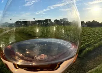 Jusque’à 27° pour ton week-end !