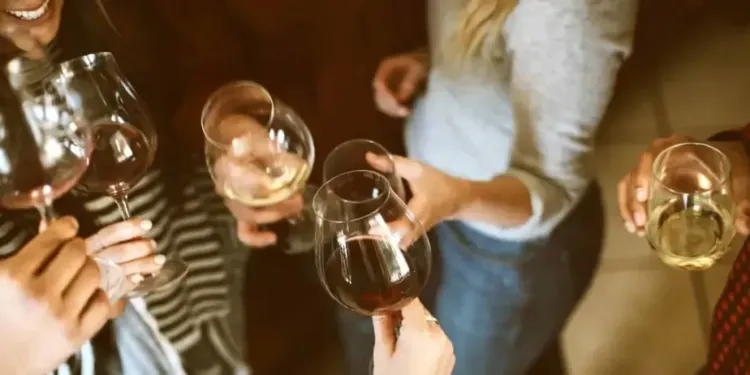 Ambiance Vin Et Fete Lors Des Leztivales