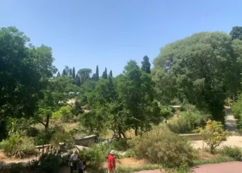 Le Jardin des Plantes : escapade champêtre et culturelle au coeur de Montpellier