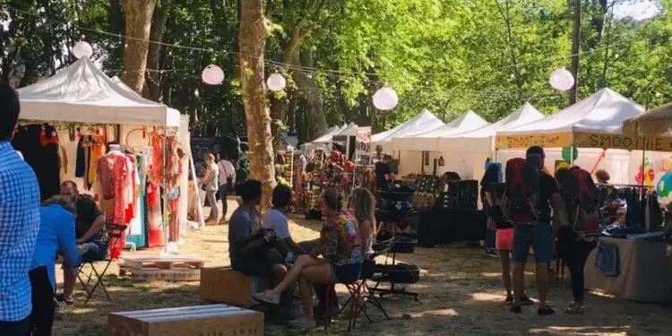 Le Wild Summer Festival est de retour !