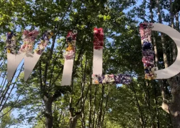 Wild Summer Festival déjà une réussite !