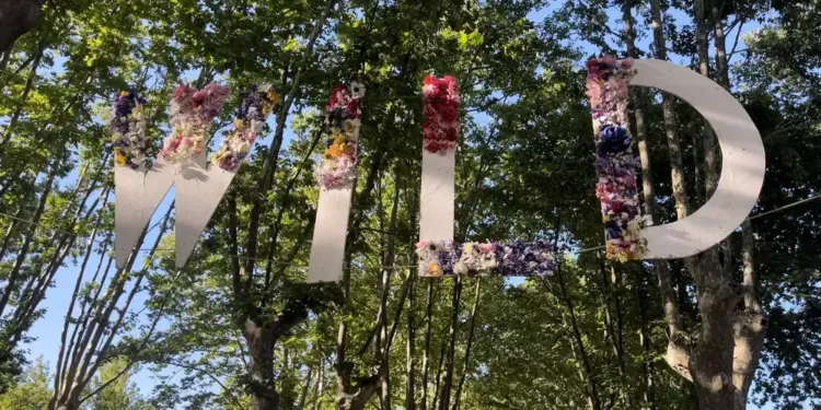 Wild Summer Festival déjà une réussite !