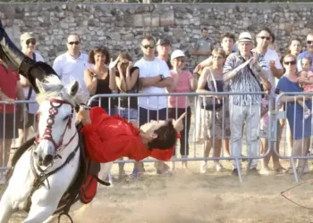 Fabrègues : déjeuner au pré et spectacle équestre gratuit