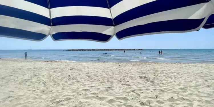 Jusqu'à 36° pour ton week-end